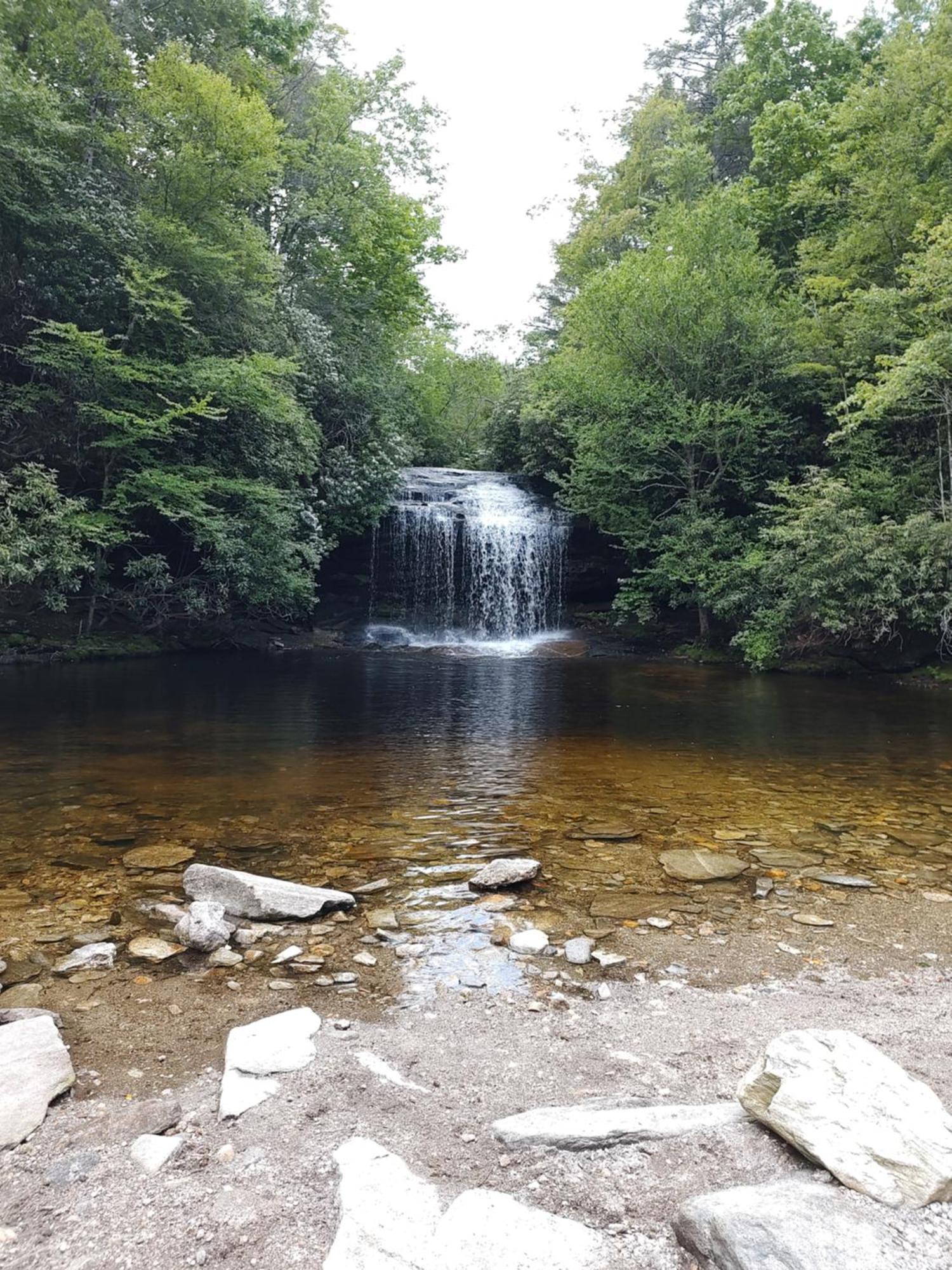 Healing Acres Βίλα Brevard Εξωτερικό φωτογραφία